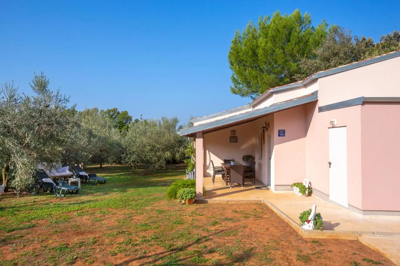 Matija Villa Liznjan Holiday home